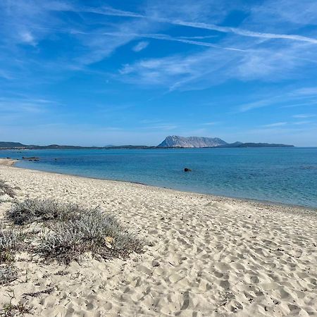 Iss Travel, San Teodoro 1 - 100 M From Cala D'Ambra Beach Exterior photo